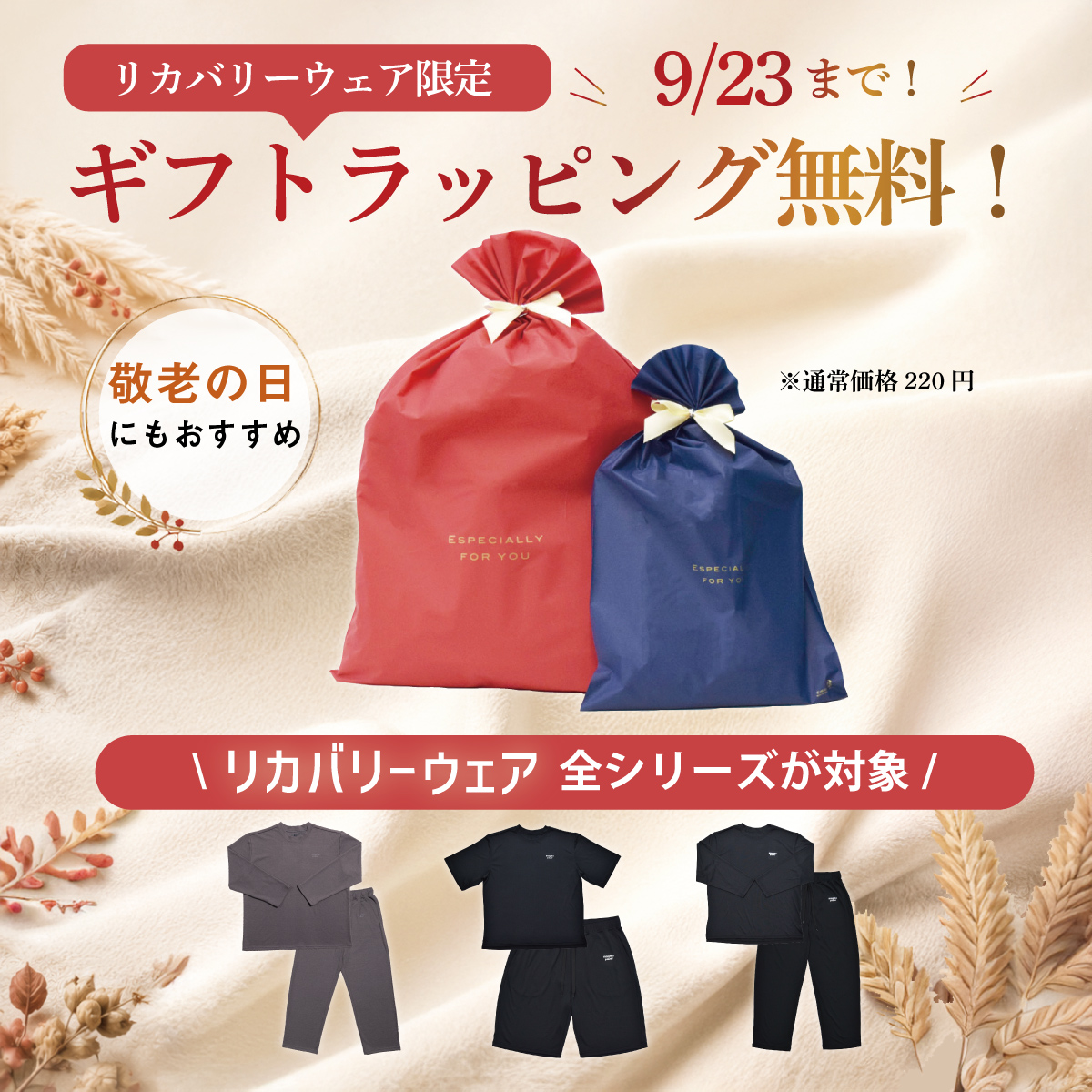 リカバリーウェア無料