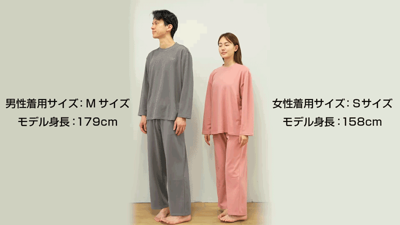 モデル