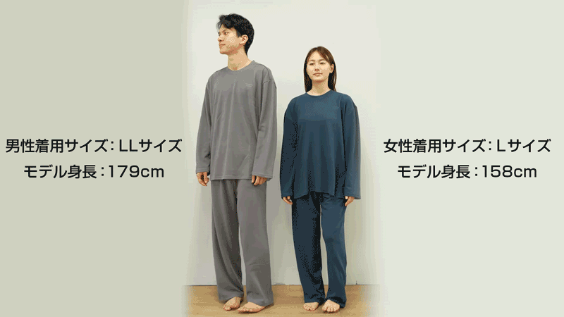 モデル