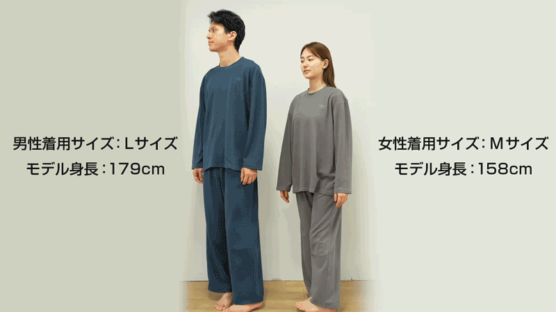 モデル
