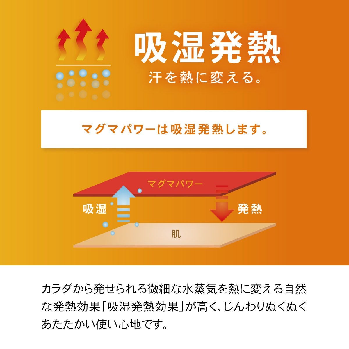 吸湿発熱マグマパワー羽毛ふとん MP25-06 シングルロング ダブル